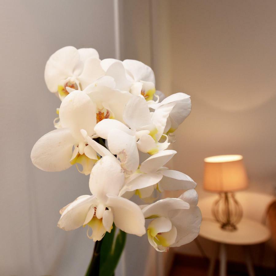 Apartamento Homesweethome Venecia